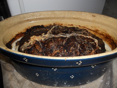 terrine